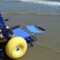 Inclusione in spiaggia: l’opposizione chiede sedie Job e defibrillatori lungo tutta la costa